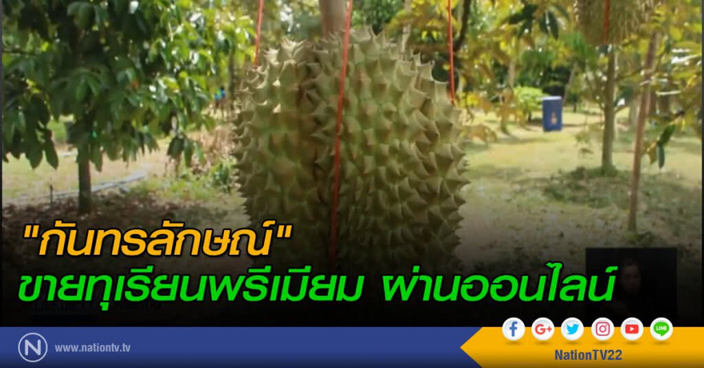 "กันทรลักษณ์" ขายทุเรียนพรีเมียมผ่านออนไลน์