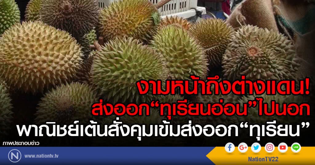 งามหน้าถึงต่างแดน! 
ส่งออก "ทุเรียนอ่อน" ไปนอก
พาณิชย์เต้นสั่งคุมเข้มส่งออก"ทุเรียน"