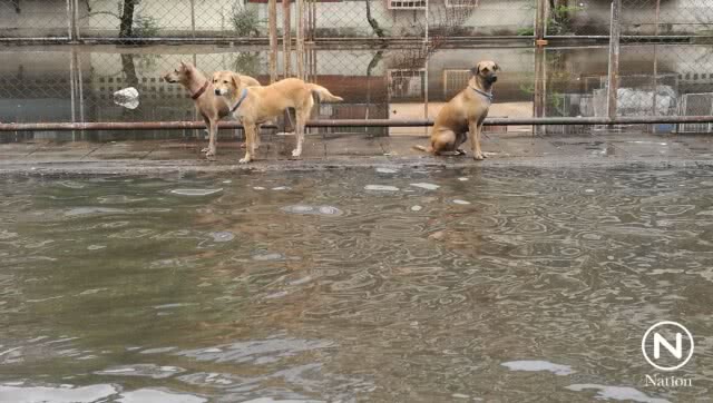 คลองเตยอ่วม ชาวบ้านร้อง น้ำท่วมสูงรอการระบาย