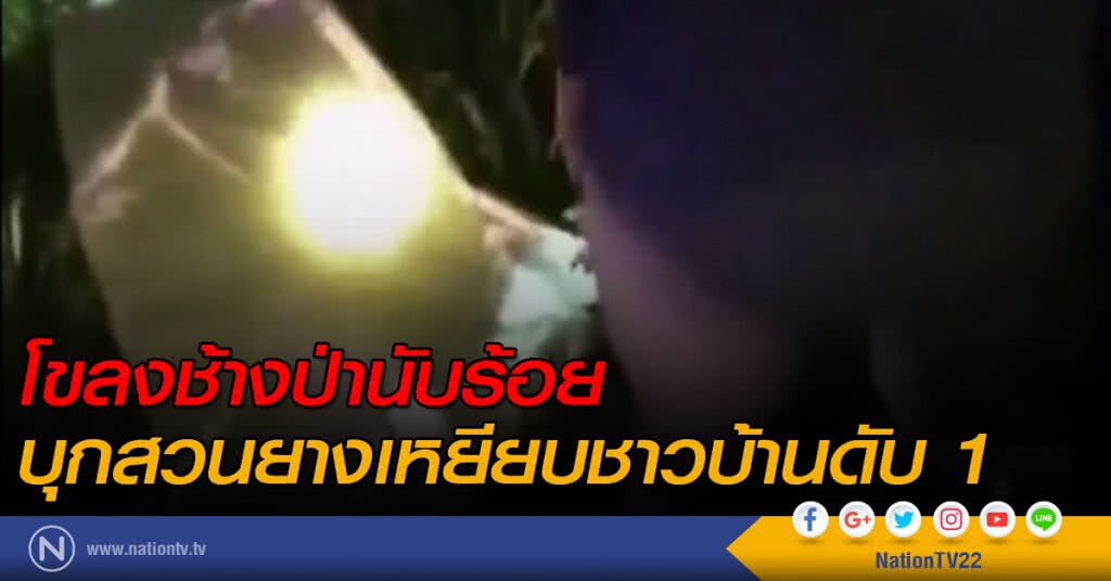 โขลงช้างป่านับร้อย บุกสวนยางเหยียบชาวบ้านดับ 1 โขลงช้างป่านับร้อย บุกสวนยางเหยียบชาวบ้านดับ 1