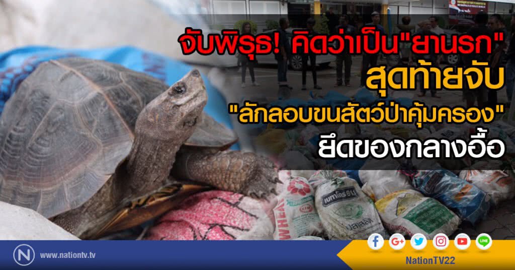 จับพิรุธ!
คิดว่าเป็น"ยานรก"
สุดท้ายจับ"ลักลอบขนสัตว์ป่าคุ้มครอง"
ยึดของกลางอื้อ