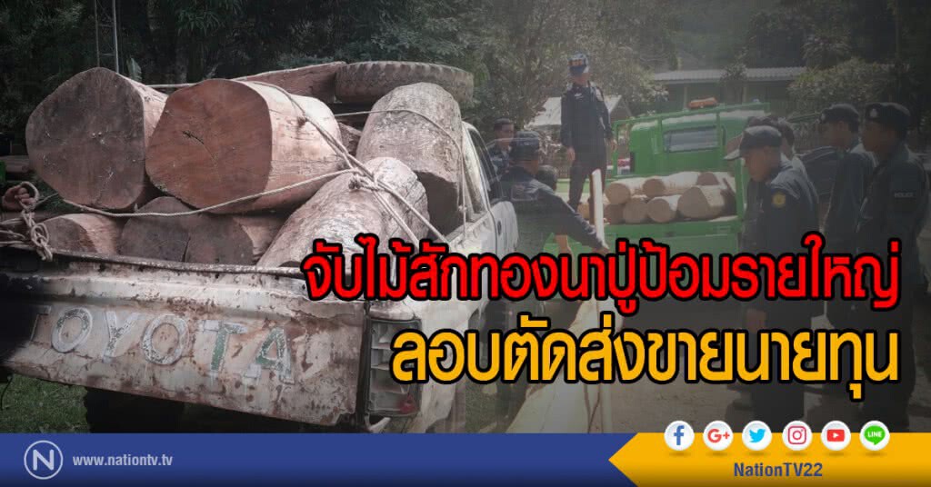 ​จับไม้สักทองนาปู่ป้อมรายใหญ่
ลอบตัดส่งขายนายทุน