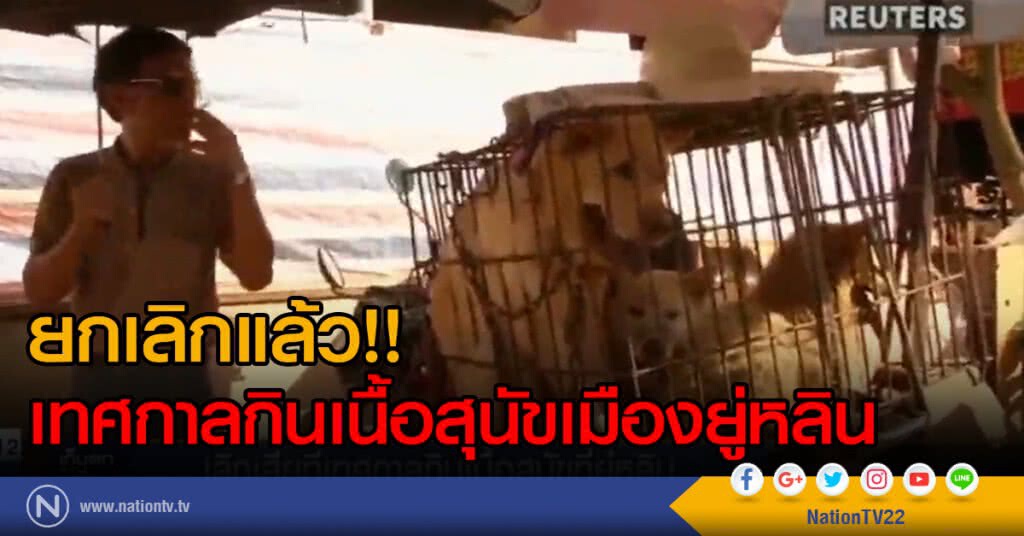 ยกเลิกแล้ว เทศกาลกินเนื้อสุนัขเมืองยู่หลิน ยกเลิกแล้ว เทศกาลกินเนื้อสุนัขเมืองยู่หลิน