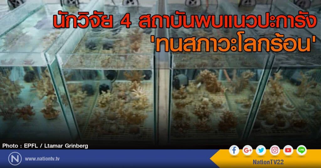 นักวิจัย 4 สถาบันพบแนวปะการัง "ทนสภาวะโลกร้อน"
