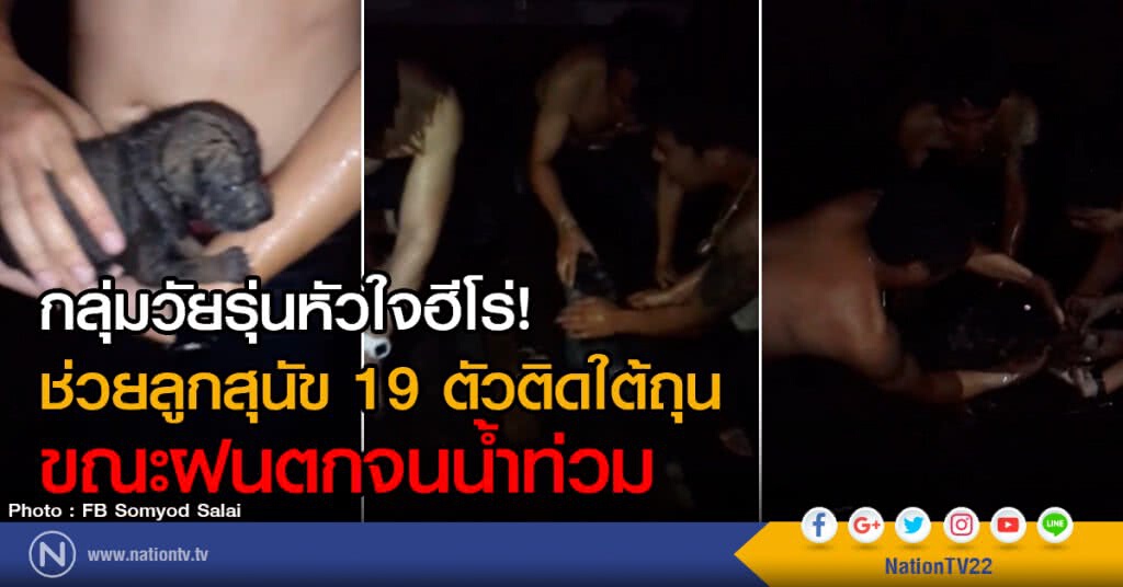 กลุ่มวัยรุ่นหัวใจฮีโร่!
ช่วยลูกสุนัข 19 ตัวติดใต้ถุน
ขณะฝนตกจนน้ำท่วม กลุ่มวัยรุ่นหัวใจฮีโร่!
ช่วยลูกสุนัข 19 ตัวติดใต้ถุน
ขณะฝนตกจนน้ำท่วม