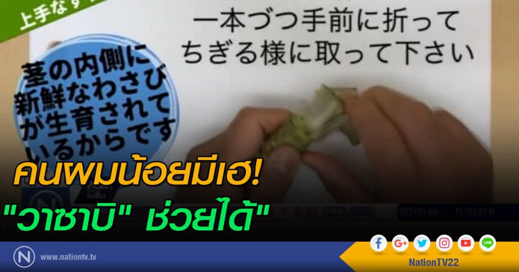 คนผมน้อยมีเฮ!....."วาซาบิ" ช่วยได้