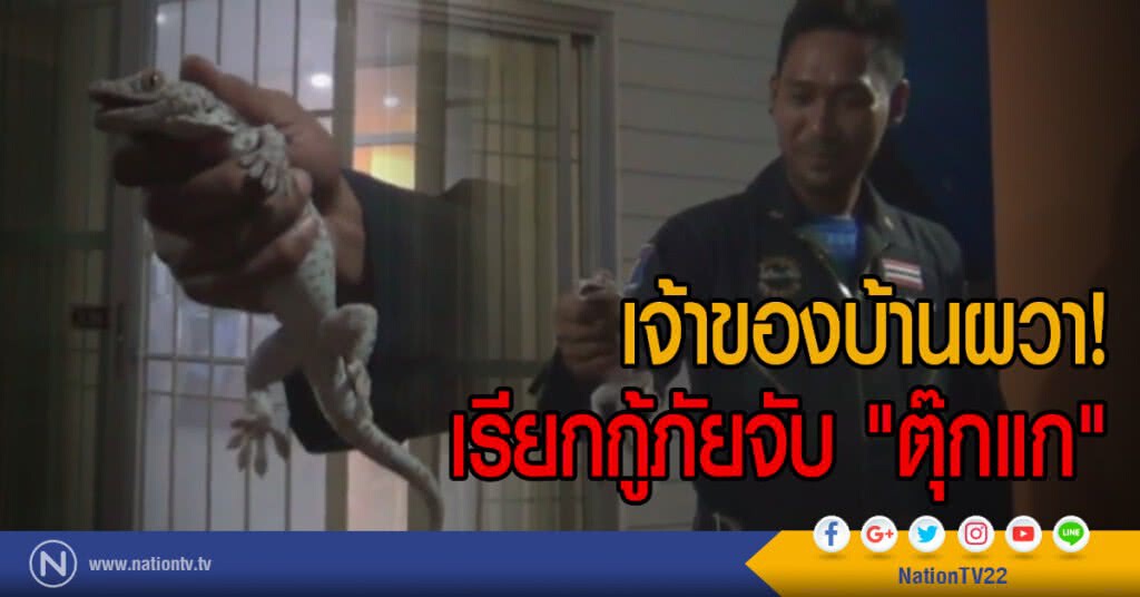 เจ้าของบ้านผวา!
เรียกกู้ภัยจับ "ตุ๊กแก" เจ้าของบ้านผวา!
เรียกกู้ภัยจับ "ตุ๊กแก"