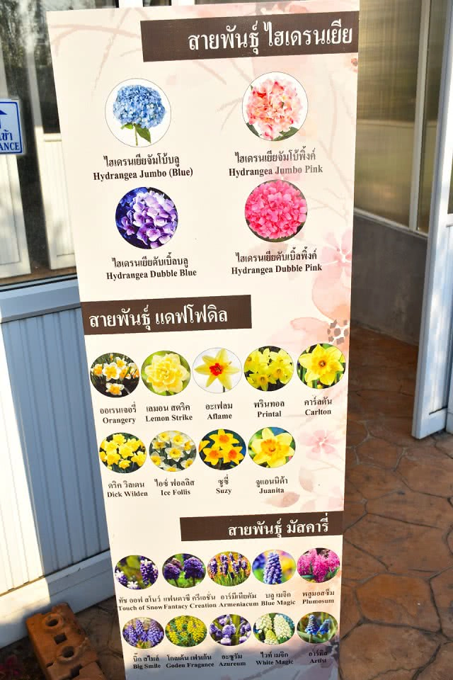 Chic-in : เพลาเพลิน บูทีก รีสอร์ท แอดเวนเจอร์แค้มป์ สวนดอกไม้ และอีกมากมาย ณ บุรีรัมย์