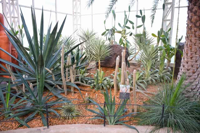 Chic-in : เพลาเพลิน บูทีก รีสอร์ท แอดเวนเจอร์แค้มป์ สวนดอกไม้ และอีกมากมาย ณ บุรีรัมย์