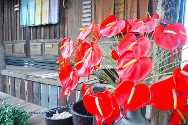 Chic-in : เพลาเพลิน บูทีก รีสอร์ท แอดเวนเจอร์แค้มป์ สวนดอกไม้ และอีกมากมาย ณ บุรีรัมย์