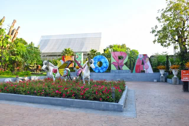 Chic-in : เพลาเพลิน บูทีก รีสอร์ท แอดเวนเจอร์แค้มป์ สวนดอกไม้ และอีกมากมาย ณ บุรีรัมย์