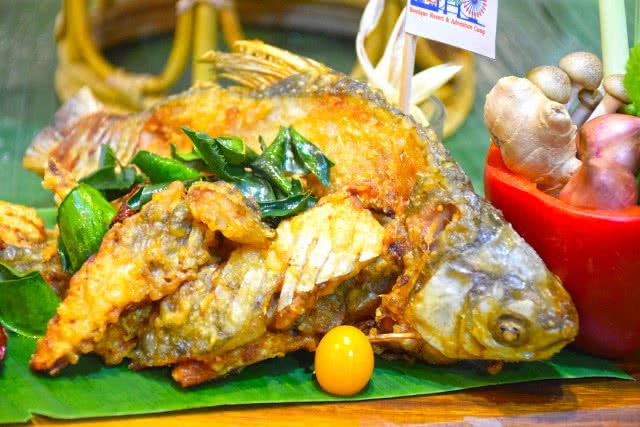 Chic-in : เพลาเพลิน บูทีก รีสอร์ท แอดเวนเจอร์แค้มป์ สวนดอกไม้ และอีกมากมาย ณ บุรีรัมย์