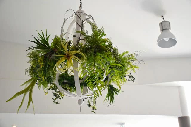 Chic-in : เพลาเพลิน บูทีก รีสอร์ท แอดเวนเจอร์แค้มป์ สวนดอกไม้ และอีกมากมาย ณ บุรีรัมย์