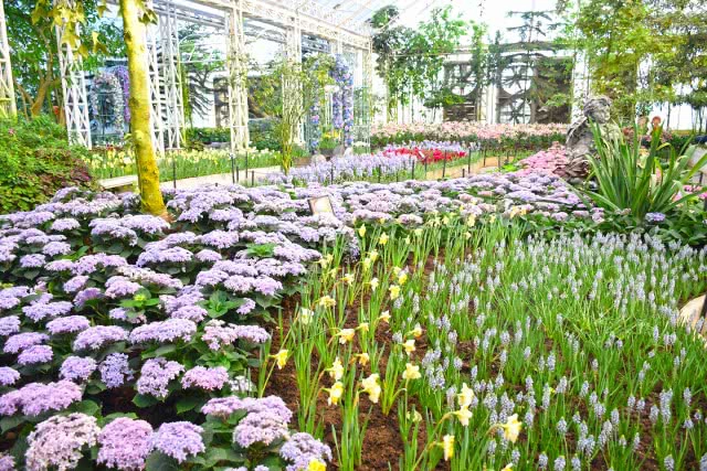 Chic-in : เพลาเพลิน บูทีก รีสอร์ท แอดเวนเจอร์แค้มป์ สวนดอกไม้ และอีกมากมาย ณ บุรีรัมย์