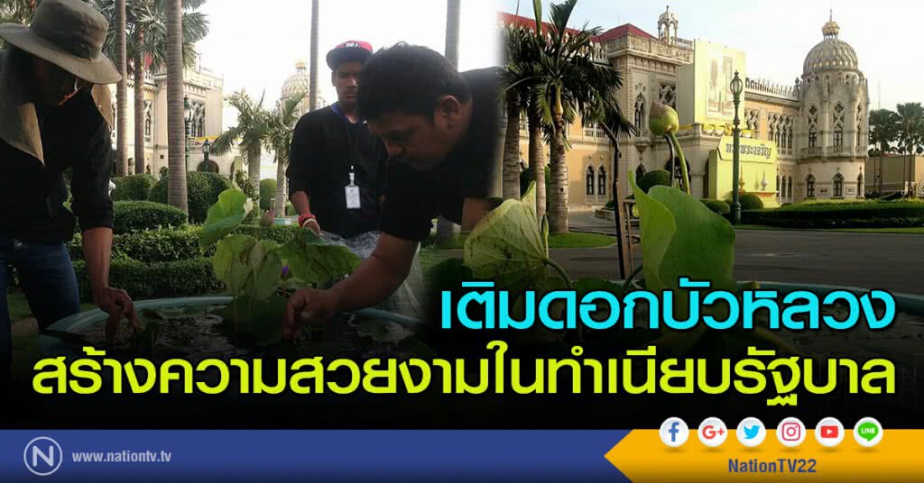 เติมดอกบัวหลวง สร้างความสวยงามในทำเนียบรัฐบาล เติมดอกบัวหลวง สร้างความสวยงามในทำเนียบรัฐบาล