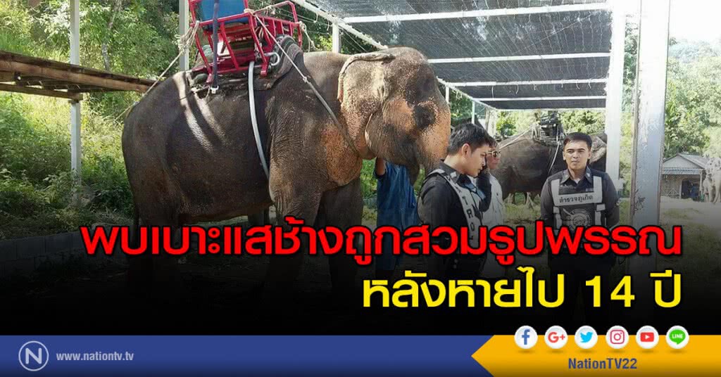 พบเบาะแสช้างถูกสวมรูปพรรณ หลังหายไป 14 ปี พบเบาะแสช้างถูกสวมรูปพรรณ หลังหายไป 14 ปี