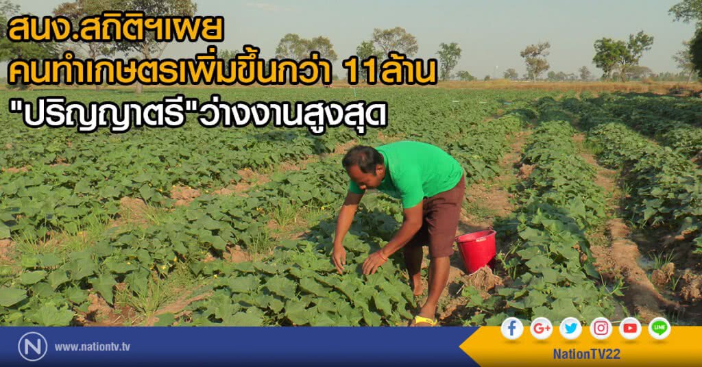 สนง.สถิติฯเผย
คนทำเกษตรเพิ่มขึ้นกว่า 11ล้าน
"ปริญญาตรี"ว่างงานสูงสุด สนง.สถิติฯเผย
คนทำเกษตรเพิ่มขึ้นกว่า 11ล้าน
"ปริญญาตรี"ว่างงานสูงสุด