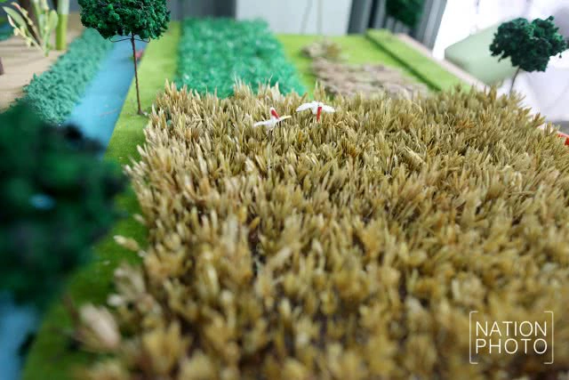 เตรียมความพร้อม พิธีบำเพ็ญกุศลกงเต็กอุทิศ ถวายพระบรมศพ รัชกาลที่ ๙