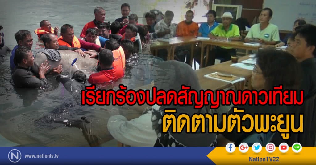 เรียกร้องปลดสัญญาณดาวเทียม
ติดตามตัวพะยูน