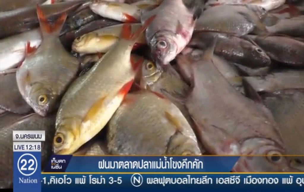 ฝนมาตลาดปลาแม่น้ำโขงคึกคัก