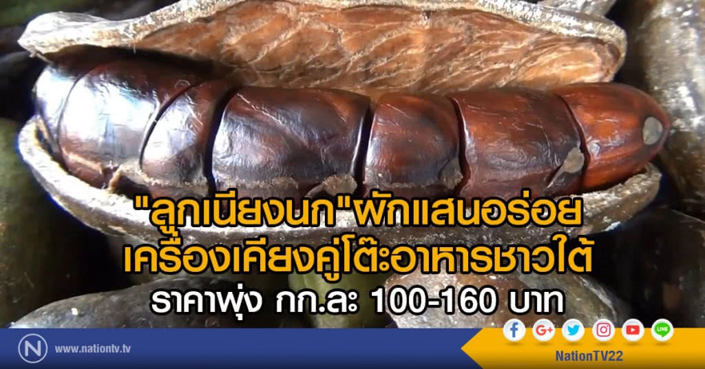 "ลูกเนียงนก"ผักแสนอร่อย
เครื่องเคียงคู่โต๊ะอาหารชาวใต้
ราคาพุ่ง กก.ละ 100-160 บาท