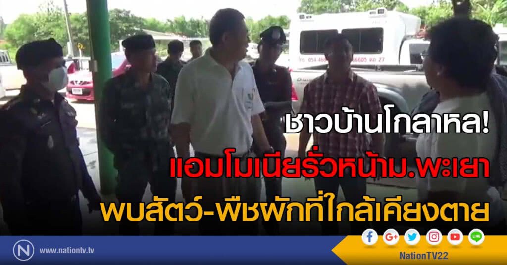 ชาวบ้านโกลาหล! แอมโมเนียรั่วหน้าม.พะเยา พบสัตว์-พืชผักที่ใกล้เคียงตาย ชาวบ้านโกลาหล! แอมโมเนียรั่วหน้าม.พะเยา พบสัตว์-พืชผักที่ใกล้เคียงตาย