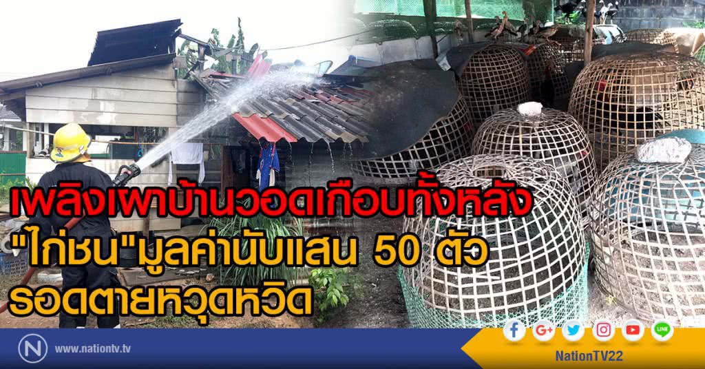 เพลิงเผาบ้าน ไก่ชน 50 ตัวรอดตายหวุดหวิด
