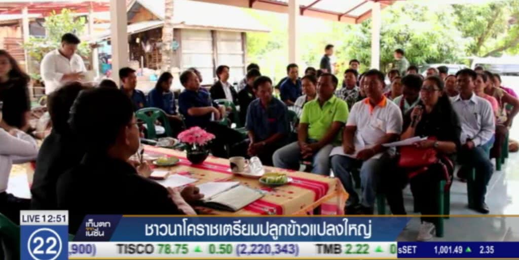 ชาวนาโคราชรวมกลุ่มปลูกข้าวแปลงใหญ่ ชาวนาโคราชรวมกลุ่มปลูกข้าวแปลงใหญ่