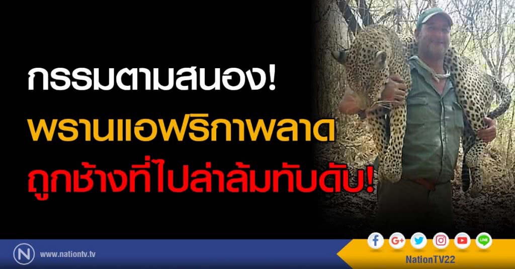 กรรมตามสนอง! พรานแอฟริกาพลาด ยิงช้างล้มทับตัวเองดับ