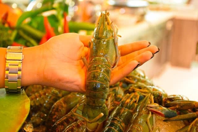 อร่อยปักหมุด : เทศกาลกุ้งถัง ที่ห้องอาหารเดอะ สแควร์ โรงแรมโนโวเทล กรุงเทพ อิมแพ็ค