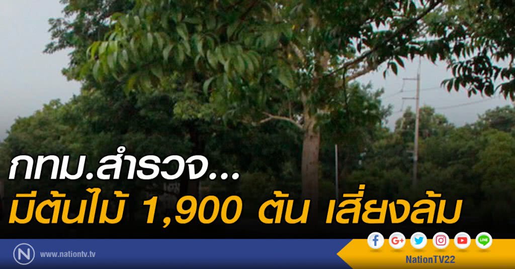 กทม.สำรวจ...มีต้นไม้ 1,900 ต้น เสี่ยงล้ม กทม.สำรวจ...มีต้นไม้ 1,900 ต้น เสี่ยงล้ม