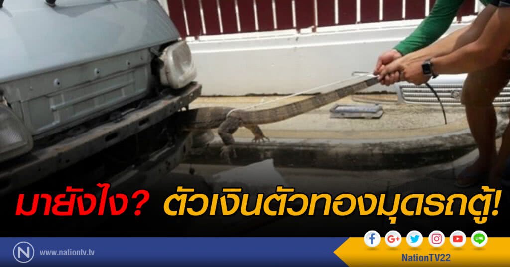 มายังไง?
ตัวเงินตัวทองมุดรถตู้ มายังไง?
ตัวเงินตัวทองมุดรถตู้