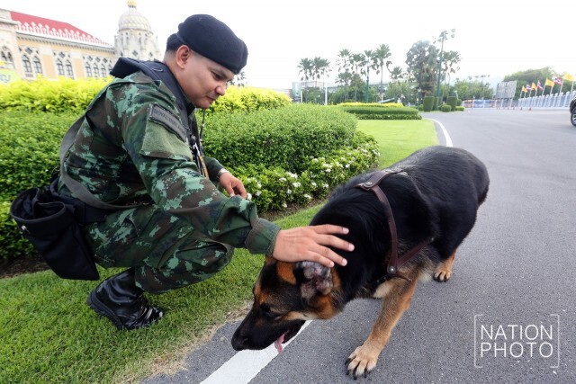 สุนัขทหารออกเดินตรวจความเรียบร้อย รอบทำเนียบรัฐบาล