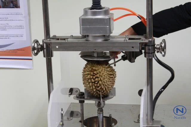 ม.นเรศวร ประดิษฐ์
เครื่องปอกเปลือกทุเรียน
เร็วสุด 22 ลูกต่อชั่วโมง