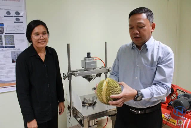 ม.นเรศวร ประดิษฐ์
เครื่องปอกเปลือกทุเรียน
เร็วสุด 22 ลูกต่อชั่วโมง