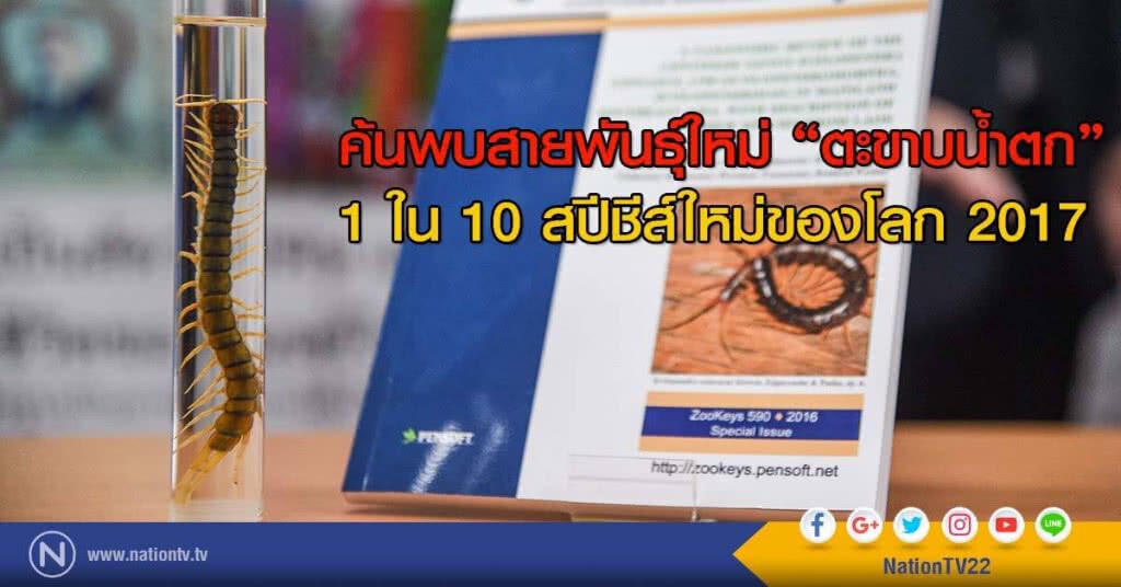 ค้นพบสายพันธ์ุใหม่ "ตะขาบน้ำตก" 1ใน10สปีชีส์ใหม่ของโลก2017 ค้นพบสายพันธ์ุใหม่ "ตะขาบน้ำตก" 1ใน10สปีชีส์ใหม่ของโลก2017