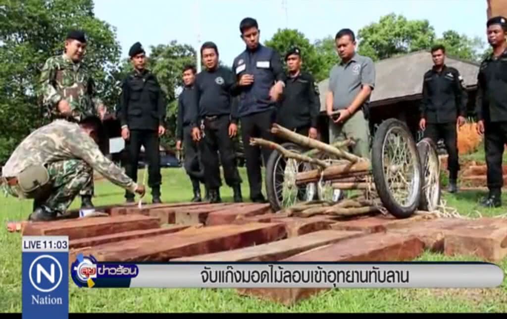 จับแก๊งมอดไม้ ลอบเข้าอุทยานทับลาน จับแก๊งมอดไม้ ลอบเข้าอุทยานทับลาน