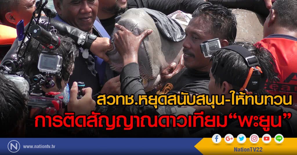 สวทช.หยุดสนับสนุนและให้ทบทวน
การติดสัญญาณดาวเทียม "พะยูน"