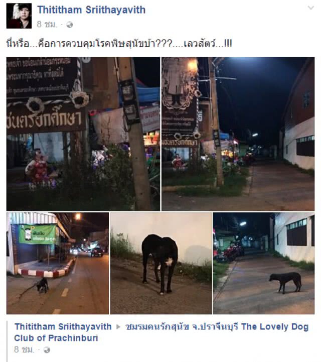 หดหู่!! หมอ ปศุสัตว์ ฆ่าหมายัดกระสอบ อ้างเป็นพิษสุนัขบ้า