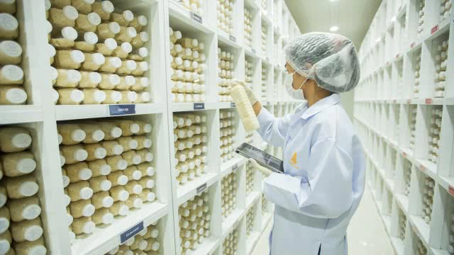 สุดยอดการประชุมข้าวนานาชาติ ชูนวัตกรรม"ข้าวไทย"4.0