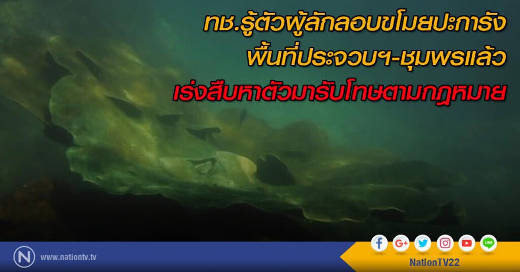 ทช.รู้ตัวผู้ลักลอบขโมยปะการังพื้นที่ประจวบฯ-ชุมพรแล้ว เร่งสืบหาตัวมารับโทษตามกฎหมาย