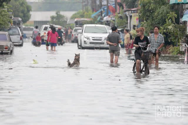 น้ำท่วมขังในหมู่บ้านชลเทพ อ.บางพลี จ.สมุทรปราการ