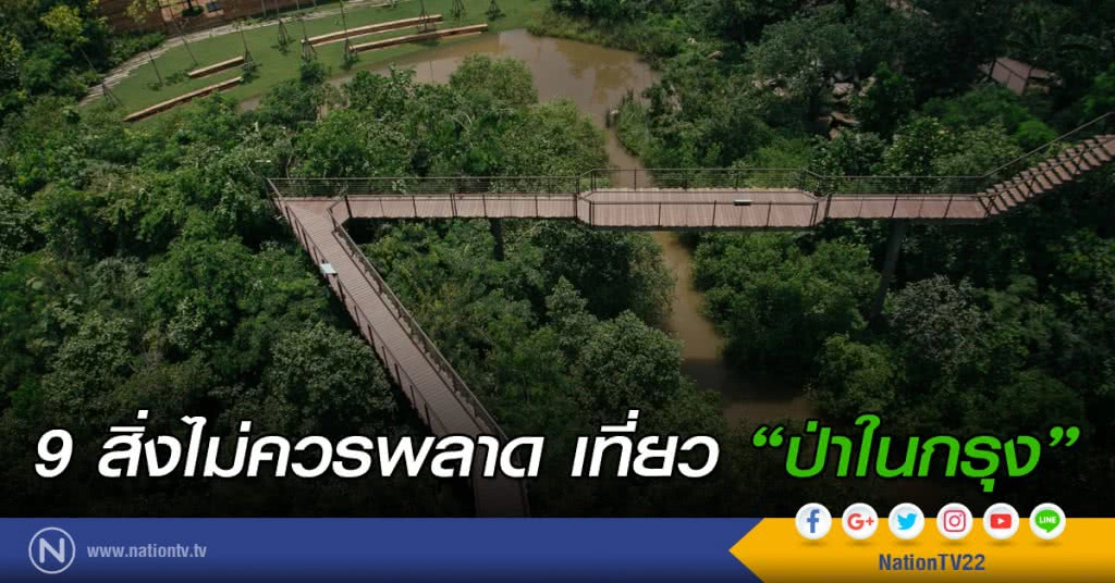 9 สิ่งไม่ควรพลาด เที่ยว "ป่าในกรุง"