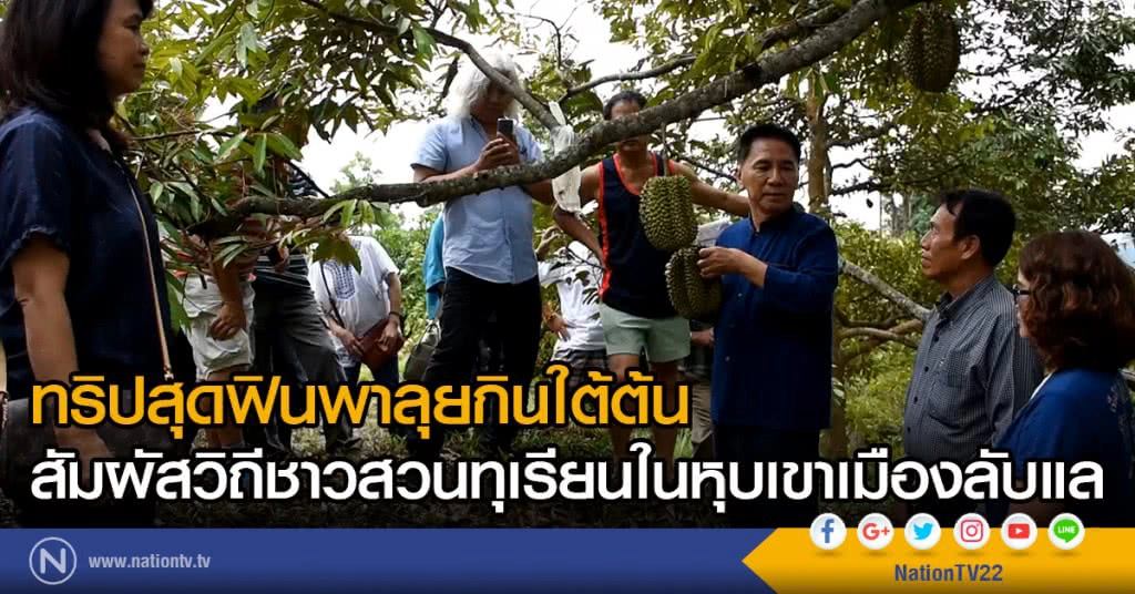 ทริปสุดฟินพาลุยกินใต้ต้น
สัมผัสวิถีชาวสวนทุเรียนในหุบเขาเมืองลับแล ทริปสุดฟินพาลุยกินใต้ต้น
สัมผัสวิถีชาวสวนทุเรียนในหุบเขาเมืองลับแล