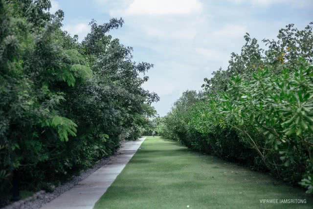 9 สิ่งไม่ควรพลาด เที่ยว "ป่าในกรุง"