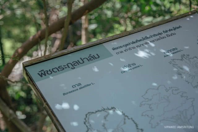 9 สิ่งไม่ควรพลาด เที่ยว "ป่าในกรุง"