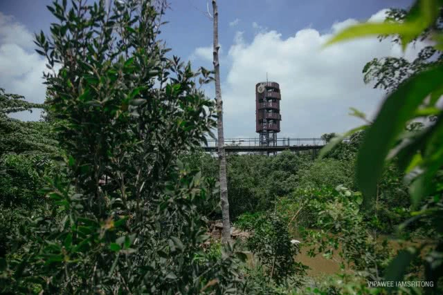 9 สิ่งไม่ควรพลาด เที่ยว "ป่าในกรุง"