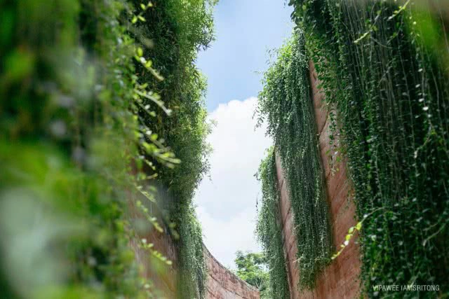 9 สิ่งไม่ควรพลาด เที่ยว "ป่าในกรุง"