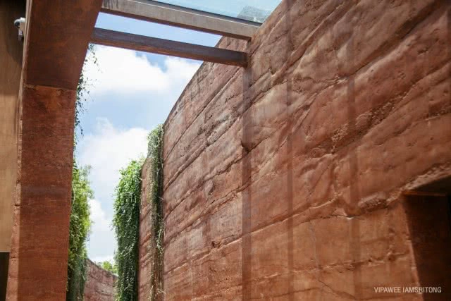 9 สิ่งไม่ควรพลาด เที่ยว "ป่าในกรุง"