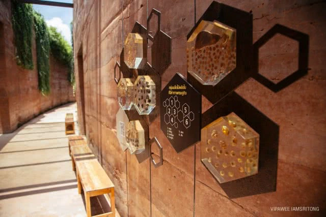 9 สิ่งไม่ควรพลาด เที่ยว "ป่าในกรุง"